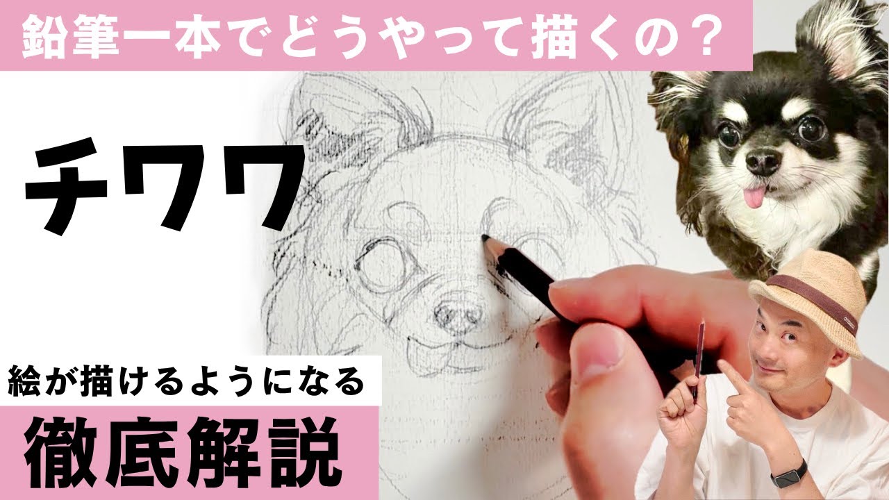 鉛筆一本で描く！黒い毛並みのチワワ|絵が描けるようになる|徹底解説