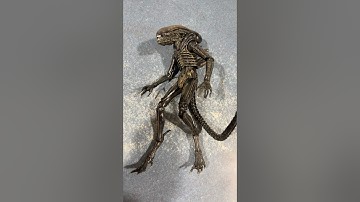 Some height surgery I made my own #alienisolation #xenomorph #custom figure#figurecollection