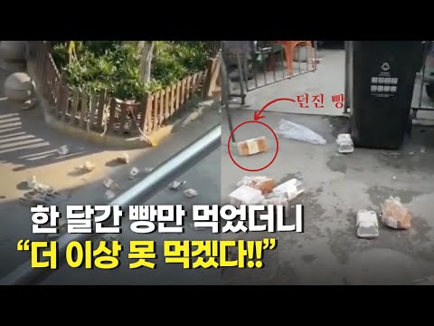 [#중국현장영상] “갇힌 채 한 달간 빵만 먹어”... 빵을 창밖으로 던지는 상하이 시민들