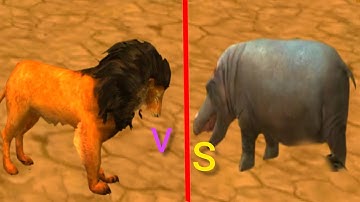 Lion King Jungle Hunting Game Lion Attack Gameplay Vadio