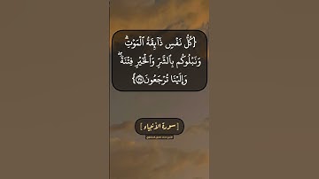 سورة الأنبياء الآية ٣٣ الى ٣٥ بصوت الشيخ محمد صديق المنشاوي