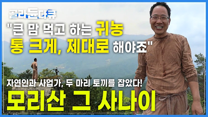 "산을 통째로 사고, 아등바등 살던 세상을 발아래 두고 삽니다" 자연인과 사업가, 두 마리 토끼를 동시에 잡은 모리산 사나이의 '통 큰 귀농생활'│한국기행│#골라듄다큐