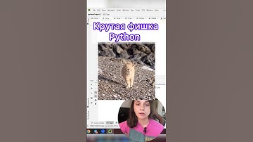 Не забудь подписаться 💔 #python #питон #программирование #егэинформатика