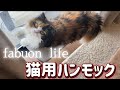 猫用ハンモック【fabuon life】が最高過ぎたので紹介します♪