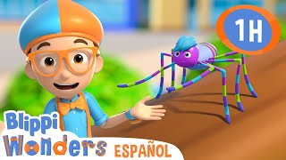 Amigo de Blippi - araña! | Blippi Wonders | Caricaturas para niños | Videos educativos para niños