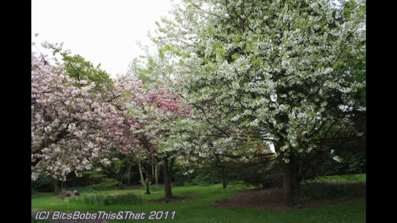 Colours of Nature -  Walton Hall Gardens