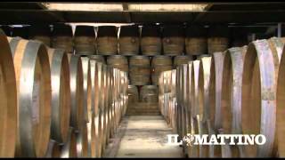 Le Ricette Di Pasqua, Il Dvd Del Mattino