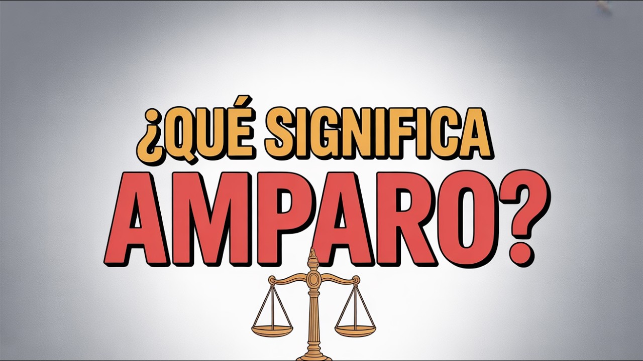 ¿Qué significa AMPARO en Derecho? Explicación y ejemplos