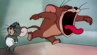 Tom and jerry scream aaaaaaaaa!! 5 new ...