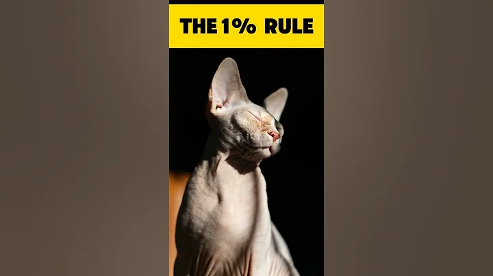 Video 9365141: hairless cat bath, pets