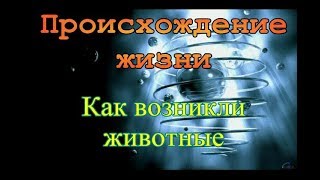 Происхождение жизни Как возникли животные.