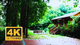 [4K HDR] WALK IN CHINA 行走中国 |  Guazhou Intenational Camp | 扬州 - 瓜州国际露营地