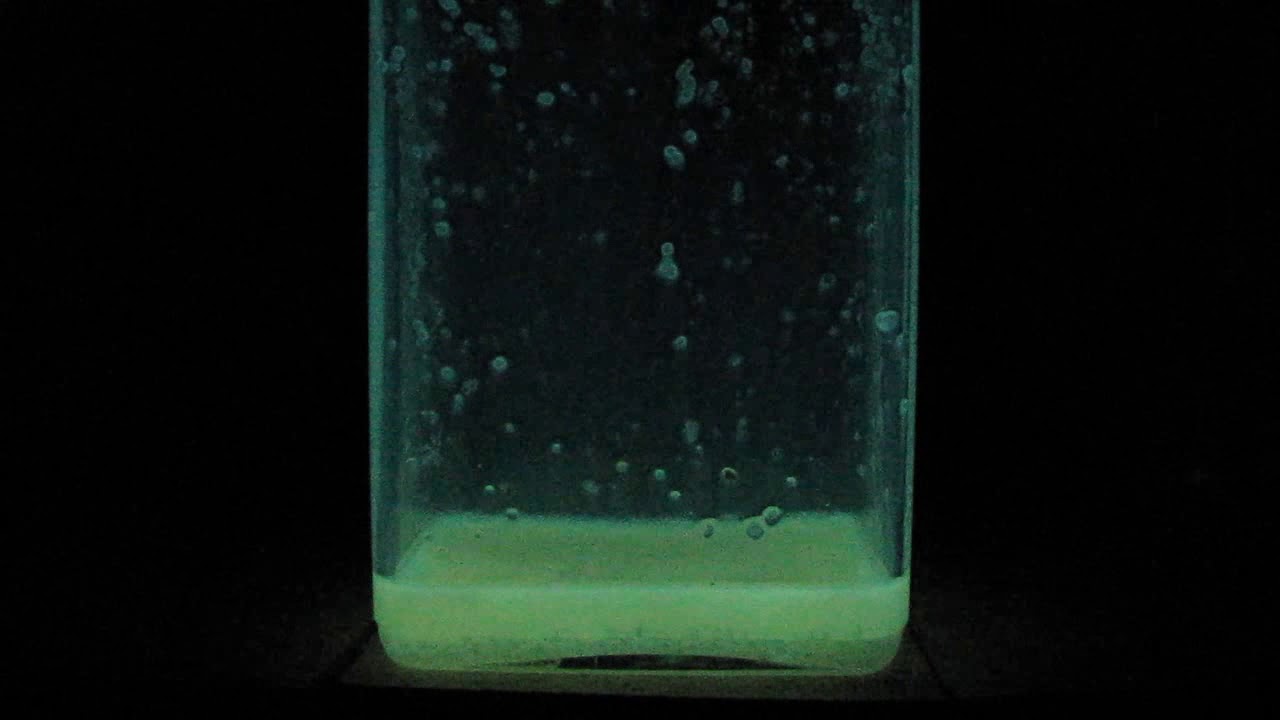 Luminescence of Luminol [Glowing of Luminol Solution in Dimethyl