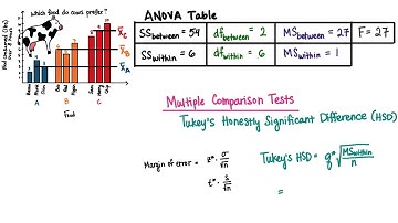 Multiple Comparison Tests