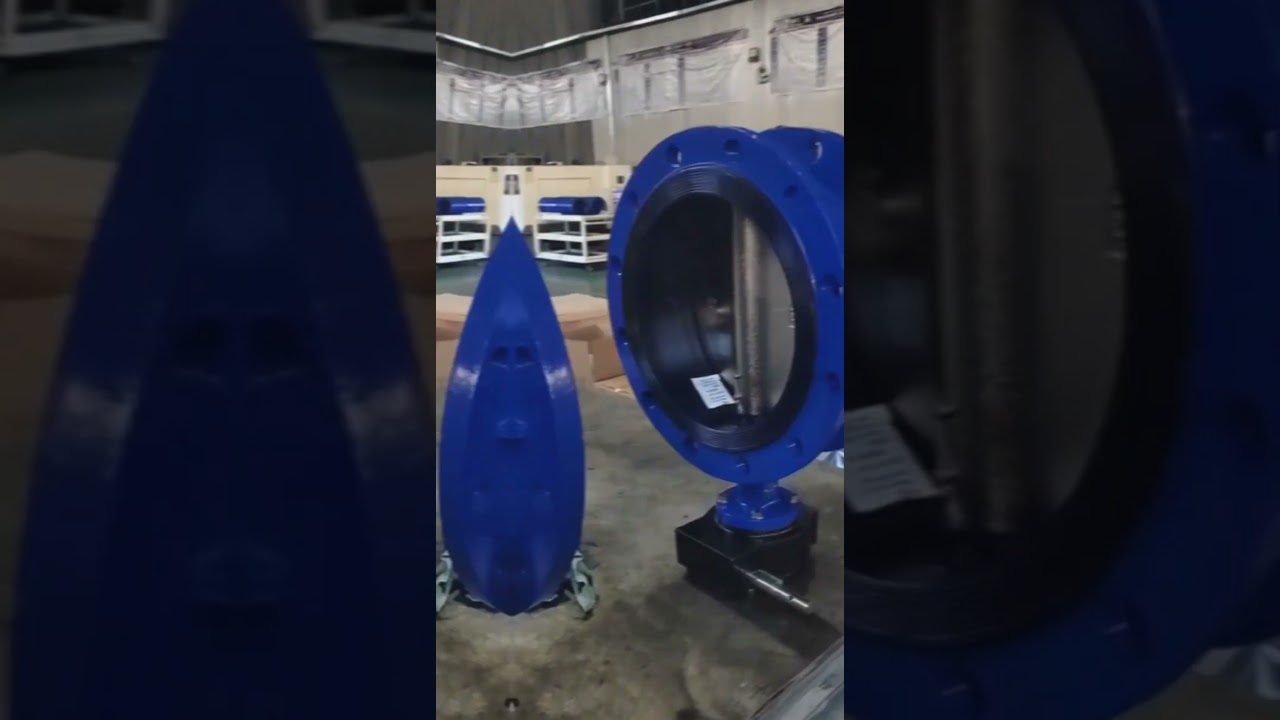 Worm gear flange butterfly valve, do you need it?