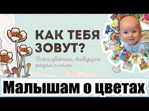 Дошкольнику о цветах. Красивая, познавательная книга