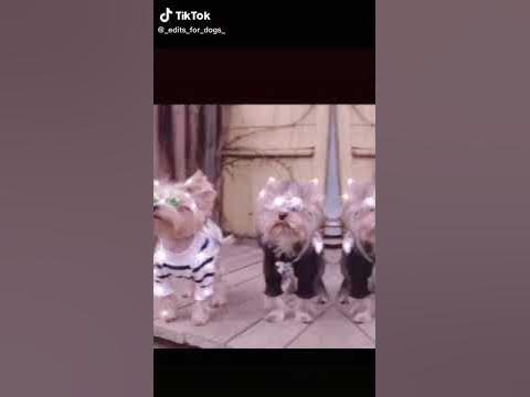 эстетик) - YouTube