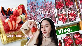 Nina日本生活 🇯🇵 EP.1｜吃到人生最好吃的草莓🍓 和家人在日本的生活日常｜NinaWen Vlog