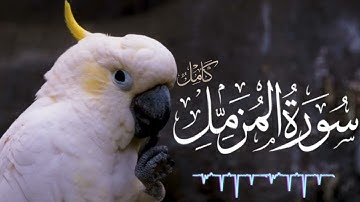 سورة المزمل کاملہ|The Enshrouded One|تلاوة رائعة وھادئة لاتوصف |Surah Al Muzammil Full HD