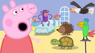 Peppa Pig Learns About Animals at The Vets! 🐷🏥 Nursery Rhymes and Kids Songs Resimi