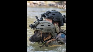 Man's First Friend   3 min documenatry The Epic Story Of Humans And Dogs   Are dogs fun Dogs’ though