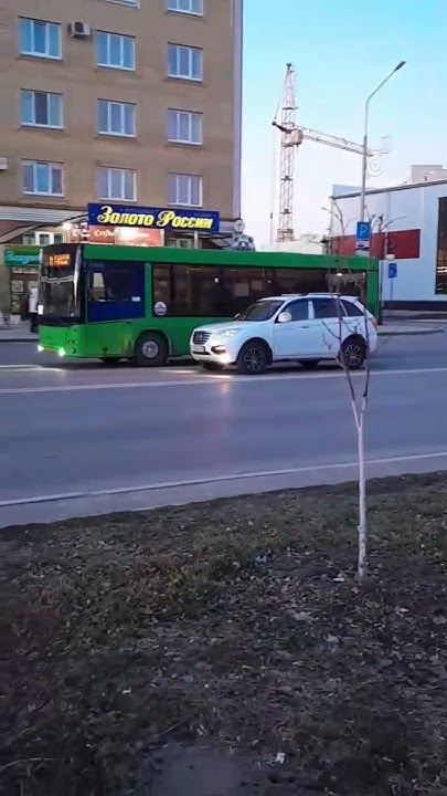 ГАЗ-A65R33 Next | У 497 ТМ 72 | Маршрут 11к, МАЗ-206.068 | АР 058 72 ...