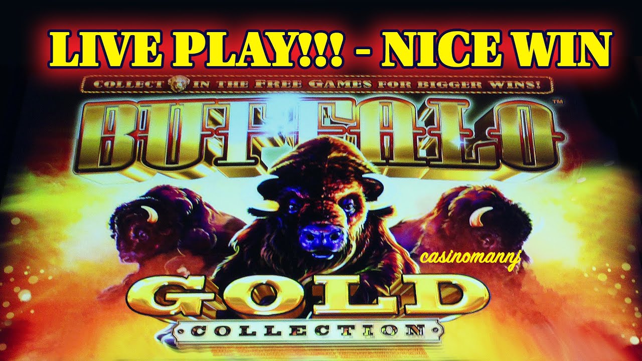 buffalo gold slot app