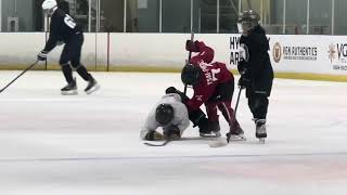 Stick and Puck 2