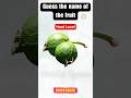 🍎Guess the name of the fruit 🍊🍉| Fruit quiz challenge