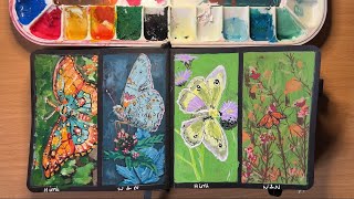 Butterflies 🦋 on Black Paper with Himi and Winsor & Newton Gouache