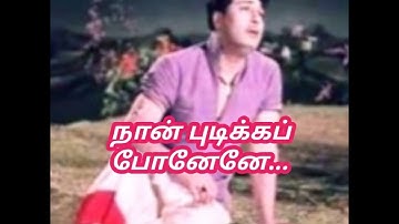 #பாட்டுக்கு பாட்டெடுத்து #tms #kannadasan #msv ramamoorthy #mgr