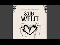 S3ib Welfi