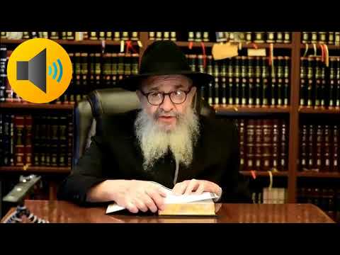 A Vort From the Rebbe , Purim - Rabbi Leibel Schapiro 5786