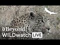WILDwatch Live | 15 July, 2020 | Morning Safari | South Africa