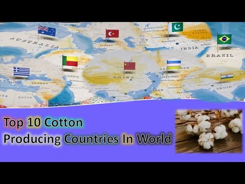 Videó: Mely államok termelik a legtöbb gyapotot?