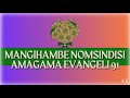 MANGIHAMBE NOMSINDISI INSTRUMENTAL WORSHIP | ITENDE