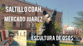 Saltillo Coahuila y su Emblemático Mercado Juarez