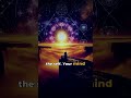 Why Your Self Is Just an Illusion | Elevated Mindset #Shorts