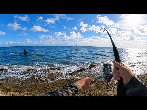 The Ocean Is Full Of Surprises!!! (Remote Island Ep. 2)
