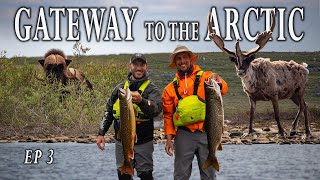 Canadas Wildlife Capital of the North (Gateway to the Arctic / EP 3)
Gateway to the Arctic is a 6-part video series documenting the 2022 month-long expedition through Canada’s barren lands. The route is designed to explore the iconic landscapes of the Northwest Territories and Nunavut by attempting to travel over 800 km from the tree line of Great Slave Lake north to the Arctic Ocean.
We would like to acknowledge and pay respect to the Akaitcho Dene and Inuit peoples whose ancestral lands we traveled through as part of this trip. We recognize that our own understanding and experience is limited, and that Indigenous peoples hold the knowledge and wisdom of their unique relationship with this land.
Follow us on Instagram - https://www.instagram.com/northernscavenger/
How to Support Us - https://www.buymeacoffee.com/NorthScavenger
Kyles Canadian Canoe Podcast - https://open.spotify.com/show/4LQxnvWBEhvxQ6Ea3f4aJ4
Grahams Spotify - https://open.spotify.com/artist/6MrZj6wqVagXe1UQ8AYWgZ
Aylmer Lake Lodge - https://aylmerlakelodge.com/
Royal Canadian Geographical Society - https://rcgs.org/
Esquif Canoes - https://esquif.com/
Kokatat- https://kokatat.com/
Jackpine Paddle - https://jackpinepaddle.com/
#Northernscavenger Canadas Wildlife Capital of the North (Gateway to the Arctic / EP 3)
