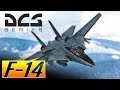 DCS: F-14 Tomcat Vs Mig-29 Trying out the Aim-54C Phoenix