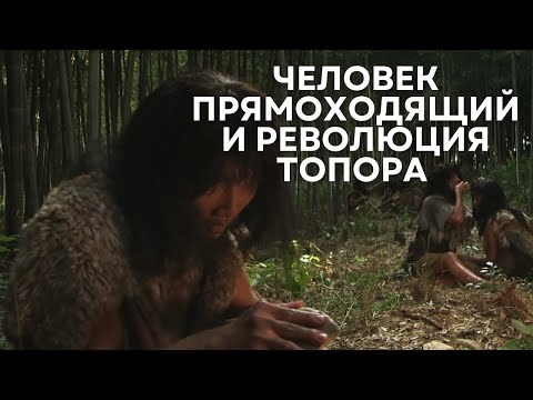 ОДИН ИЗ ЛУЧШИХ ДОКУМЕНТАЛЬНЫХ ФИЛЬМОВ ПРО НАС! | Человек прямоходящий и революция топора