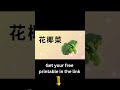 蔬菜 菠菜 高麗菜！Vegetables in Mandarin · 小熊學中文  #chineseforkids #mandarinforkids #learnchinese #學中文 #中文故事