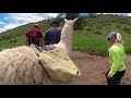 Maxwell Trail Refresh Project Update: Llamas to the Rescue