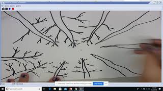 Shortened 3rd Grade 1 pt perspective fall trees