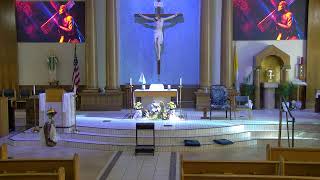 The Eucharist: Why We Believe in the Real Presence