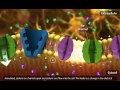 Nerve impulse molecular mechanism 3d animation