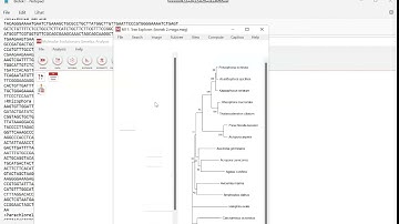 Membuat Pohon Filogenetik dan Analisis Jarak Gen antar Spesies (MEGA11 APK)