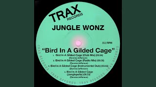 Bird in a Gilded Cage (Club Mix) - Jungle Wonz