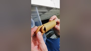 Table 66 - 2020 Albino Darwin Carpet Python hatchling reveal / How to handle baby pythons